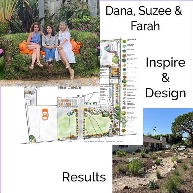 Urban-Ecology-Studio-003